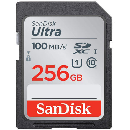 SanDisk SD Class10 UHS-1 100MB/s 256GB SDXC Card