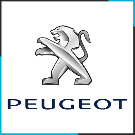 Picture for category Peugeot